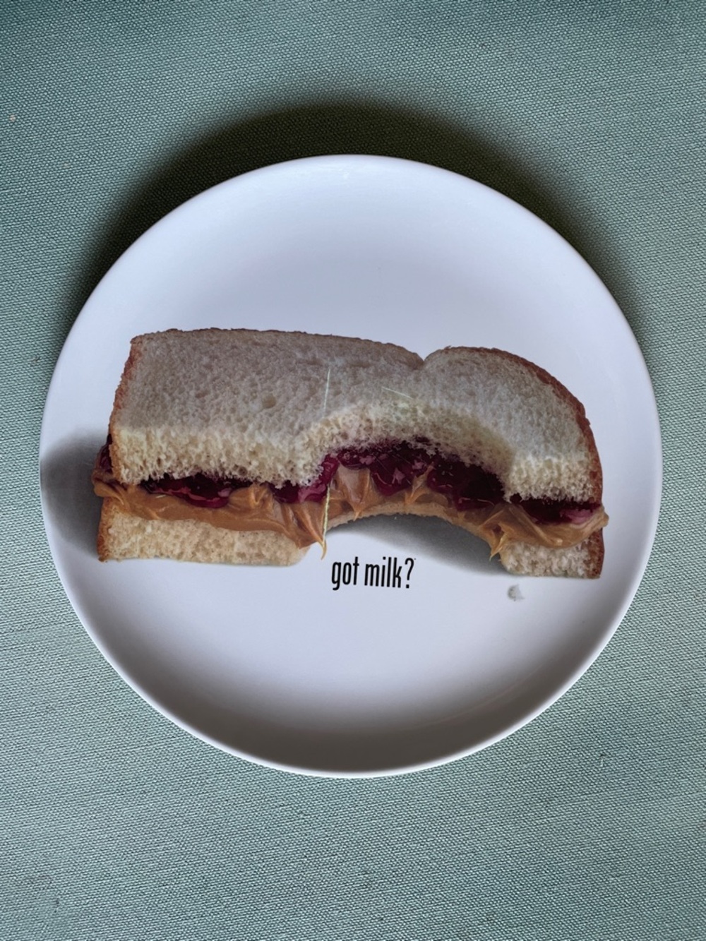 Vintage 90s Got Milk Melamine Plate PB&J Sandwich 8”